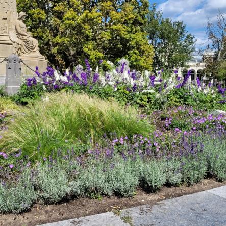 Borderbeplanting met siergrassen 